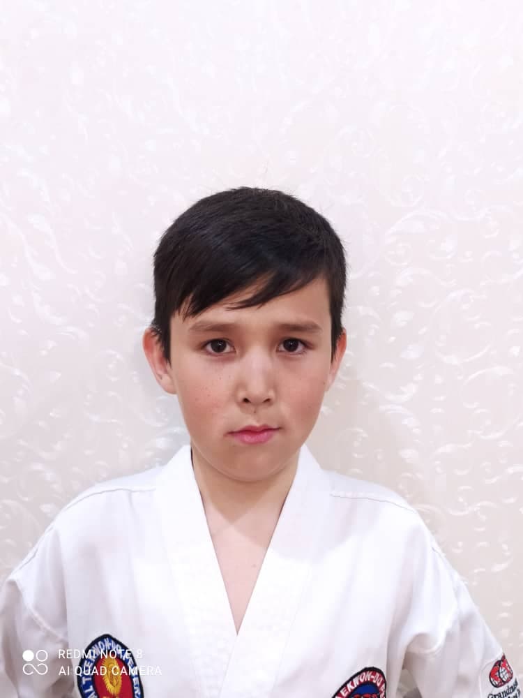 Baysal A.